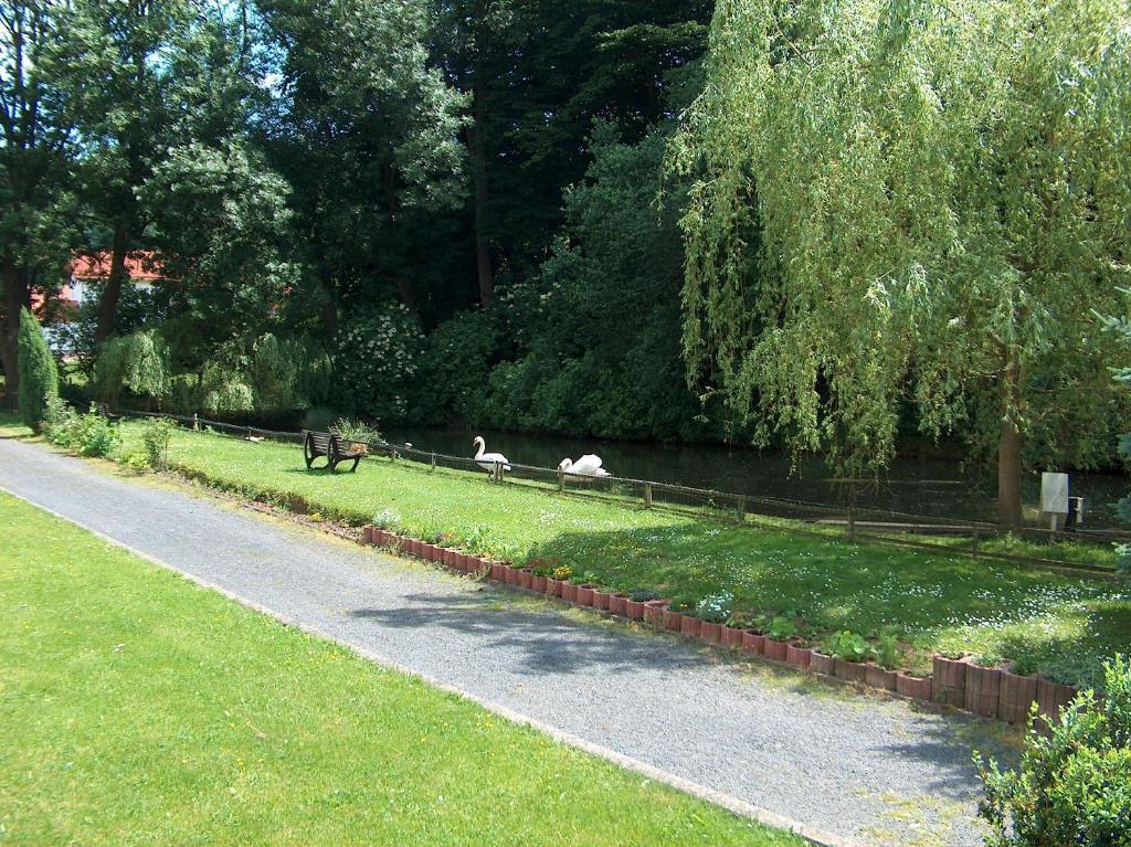 Landhotel & Restaurant Gutsherrn-Klause Dankerode  Extérieur photo